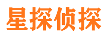 武平侦探